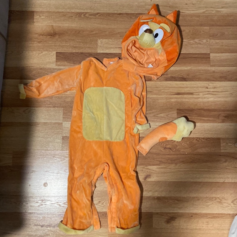 Spirit Halloween Bingo costume